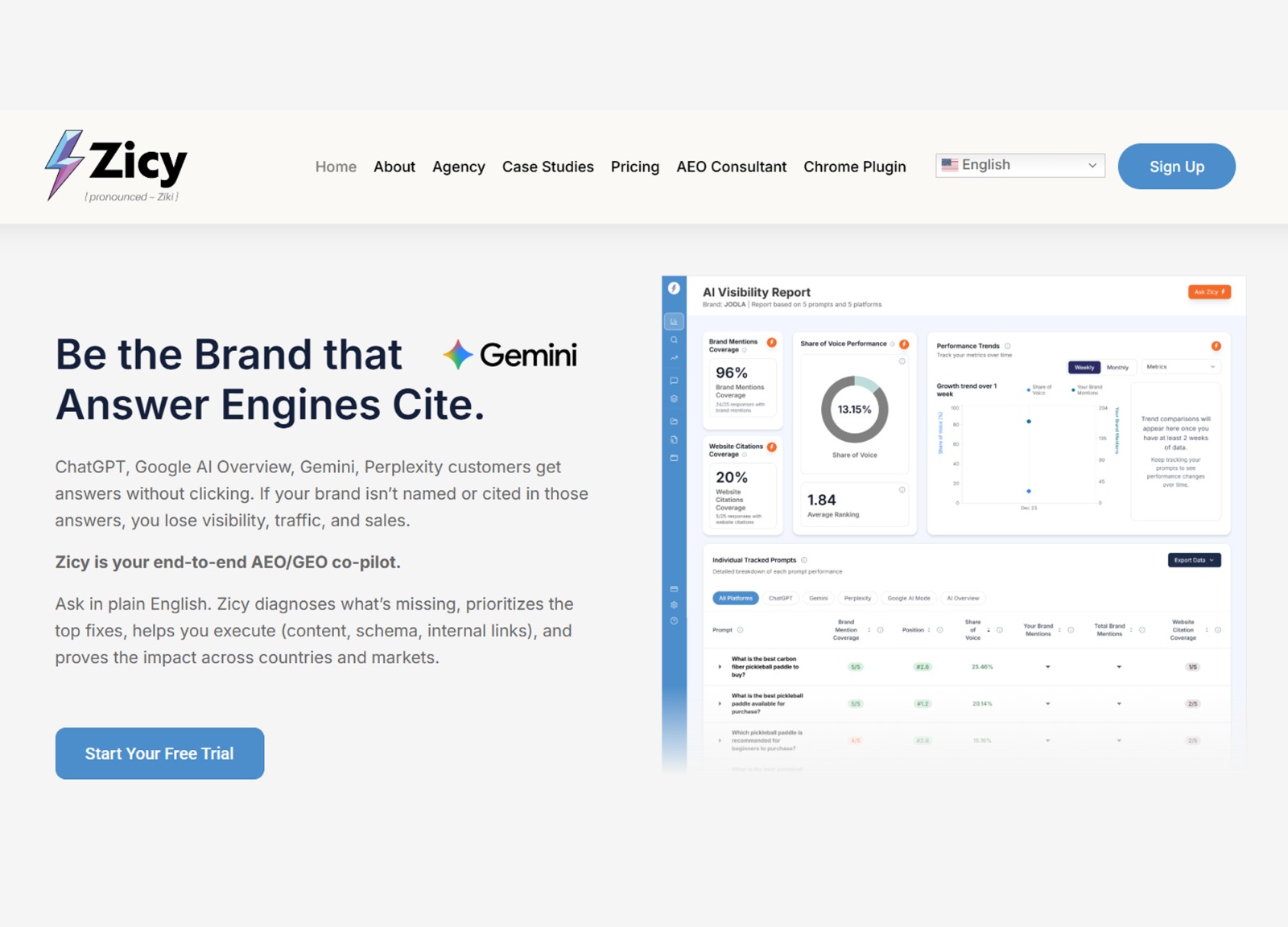 Zicy project preview